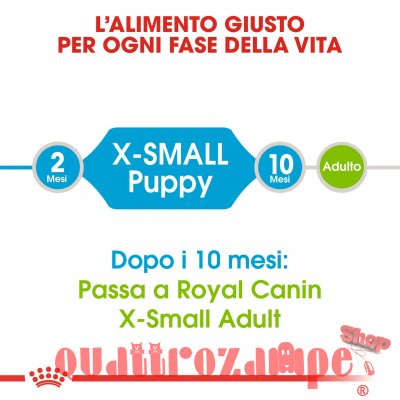 Royal Canin X Small Puppy per Cani Cuccioli