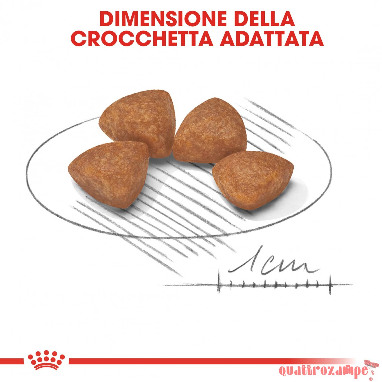 Royal Canin X Small Puppy per Cani Cuccioli