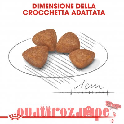 Royal Canin X Small Puppy per Cani Cuccioli