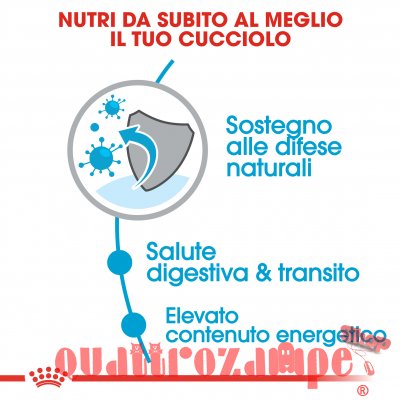 Royal Canin X Small Puppy per Cani Cuccioli