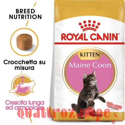 Royal Canin Kitten Maine Coon Cibo Per Gatti di Razza