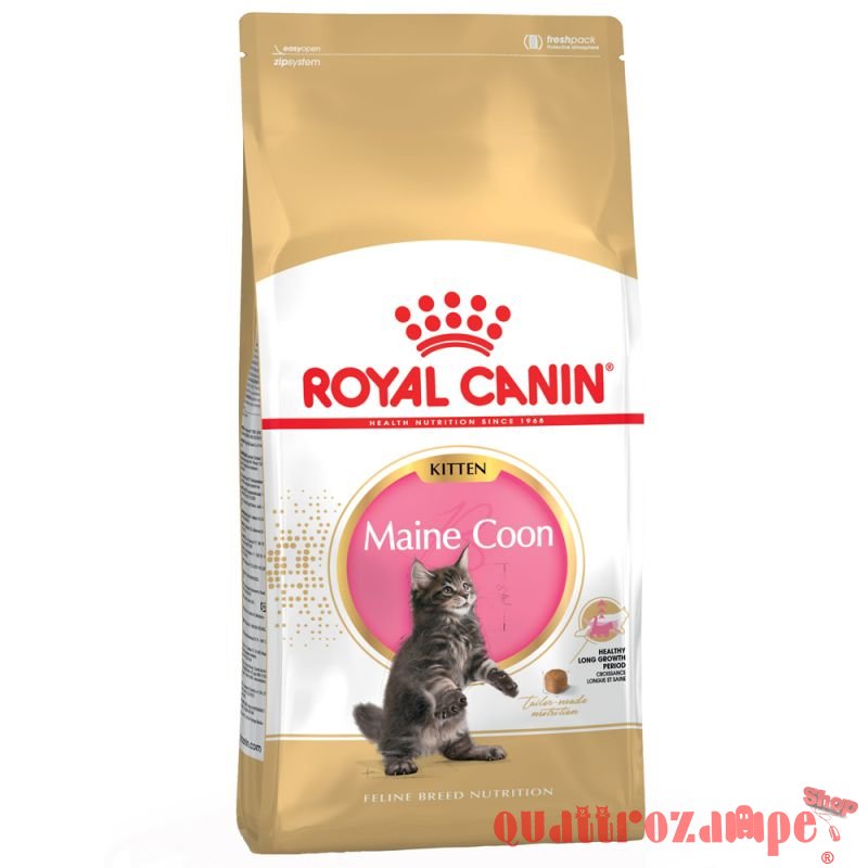 Royal Canin Kitten Maine Coon Cibo Per Gatti di Razza