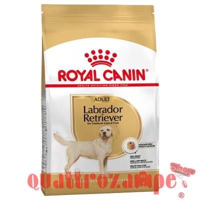 Royal Canin Labrador Retriever Adult Cibo Per Cani Di Razza