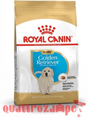 Royal Canin Golden Retriever Puppy