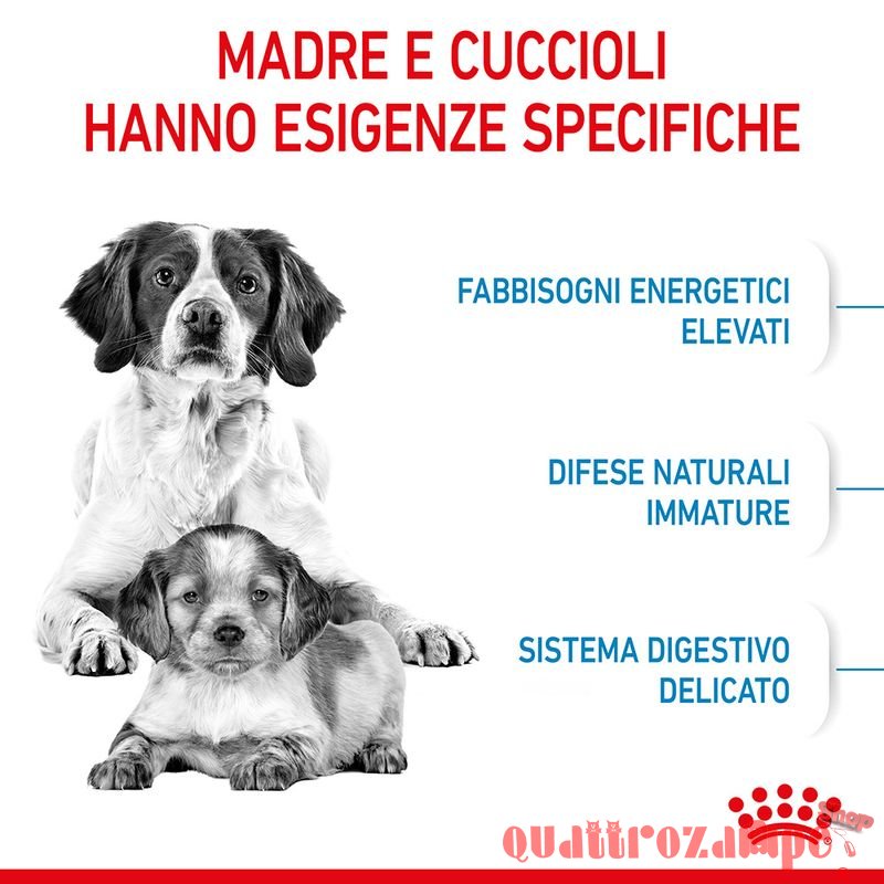 Royal Canin Medium Starter Mother & Babydog Per Cane