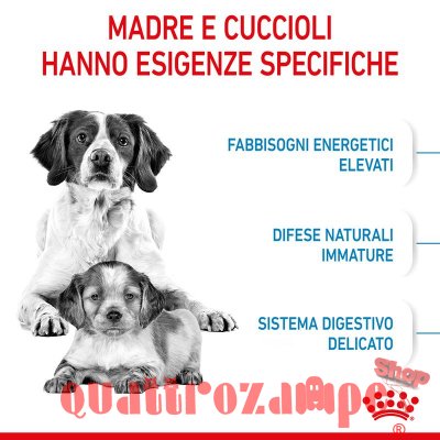 Royal Canin Medium Starter Mother & Babydog Per Cane