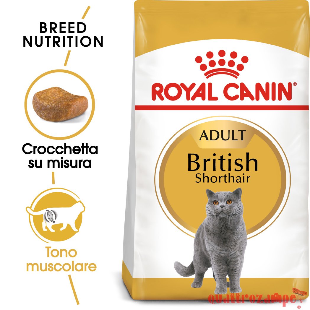 Royal Canin British Shorthair Adult 2 kg