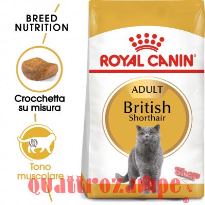 Royal Canin British Shorthair Adult 2 kg