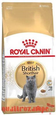 Royal Canin British Shorthair Adult 2 kg