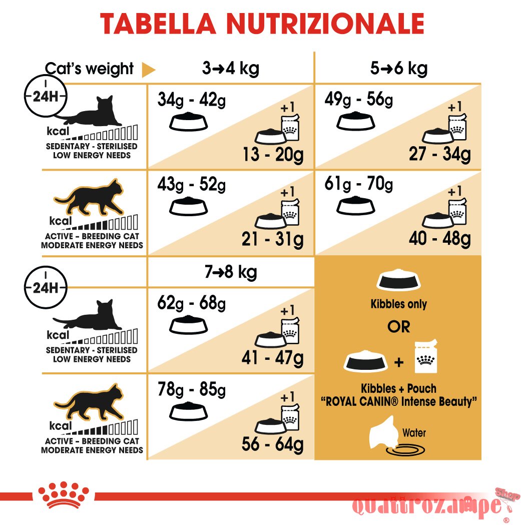 Royal Canin Ragdoll Adult Alimentazione Gatto