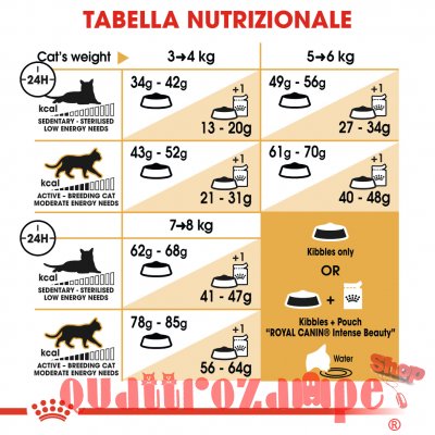 Royal Canin Ragdoll Adult Alimentazione Gatto