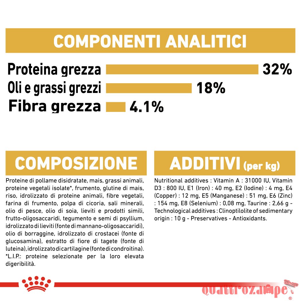 Royal Canin Ragdoll Adult Alimentazione Gatto