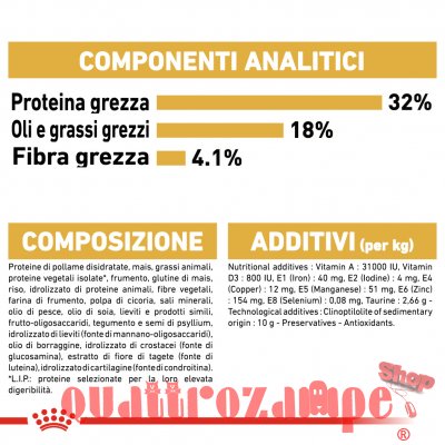 Royal Canin Ragdoll Adult Alimentazione Gatto