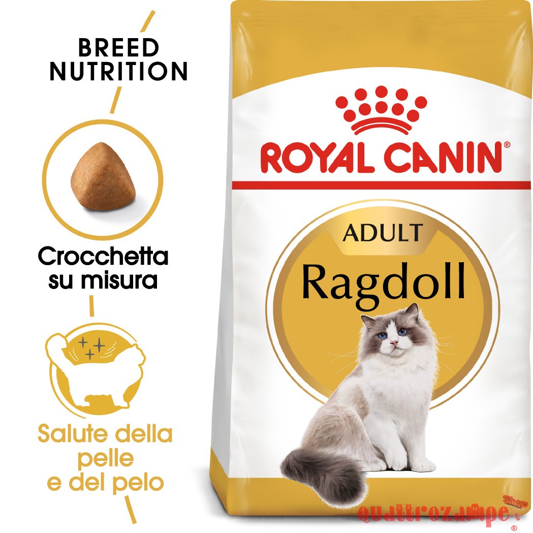 Royal Canin Ragdoll Adult Alimentazione Gatto