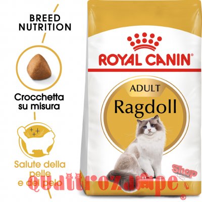 Royal Canin Ragdoll Adult Alimentazione Gatto
