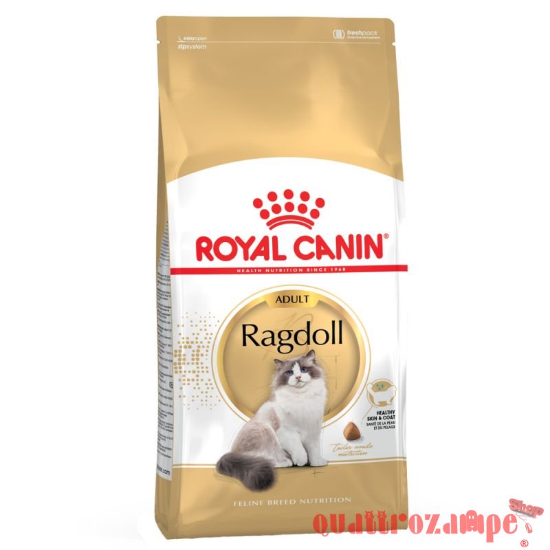 Royal Canin Ragdoll Adult Alimentazione Gatto