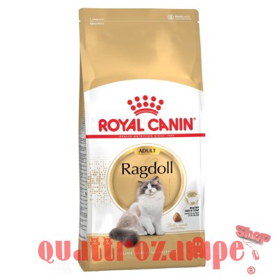 Royal Canin Ragdoll Adult Alimentazione Gatto