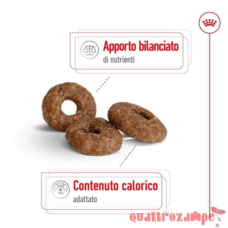 Royal Canin Mini Ageing 12+ 1,5 kg per Cani Anziani