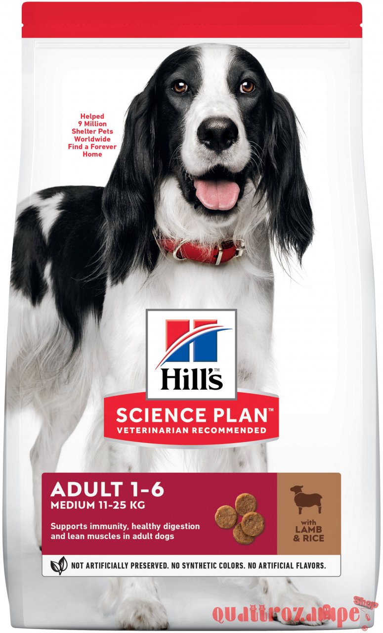 Hill's Science Plan Cane Adult Medium Agnello