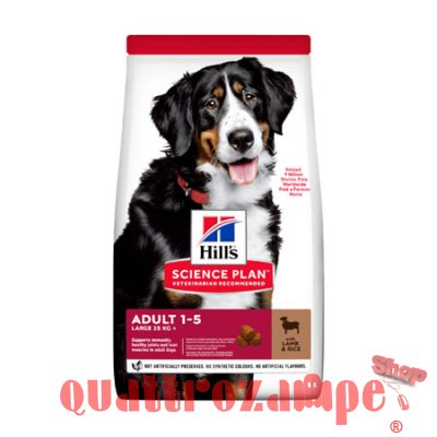 Hill's Science Plan Cane Adult Large Breed Agnello 14 kg