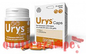 Innovet Urys Caps 30 Capsule Birillo Monodose