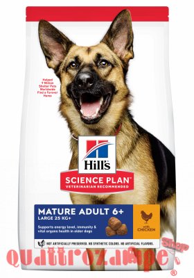 Hill's Science Plan Cane Large Breed Mature Active Longevity