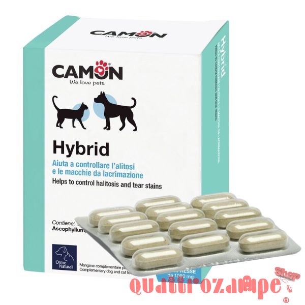 Camon Hybrid Contro Alitosi Per Cani