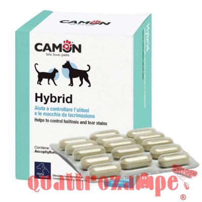 Camon Hybrid Contro Alitosi Per Cani