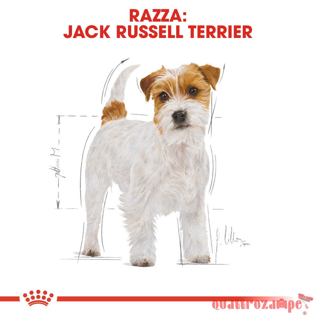 Royal Canin Jack Russell Terrier Adult 1,5 kg Crocchette per cani