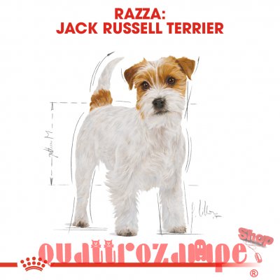 Royal Canin Jack Russell Terrier Adult 1,5 kg Crocchette per cani