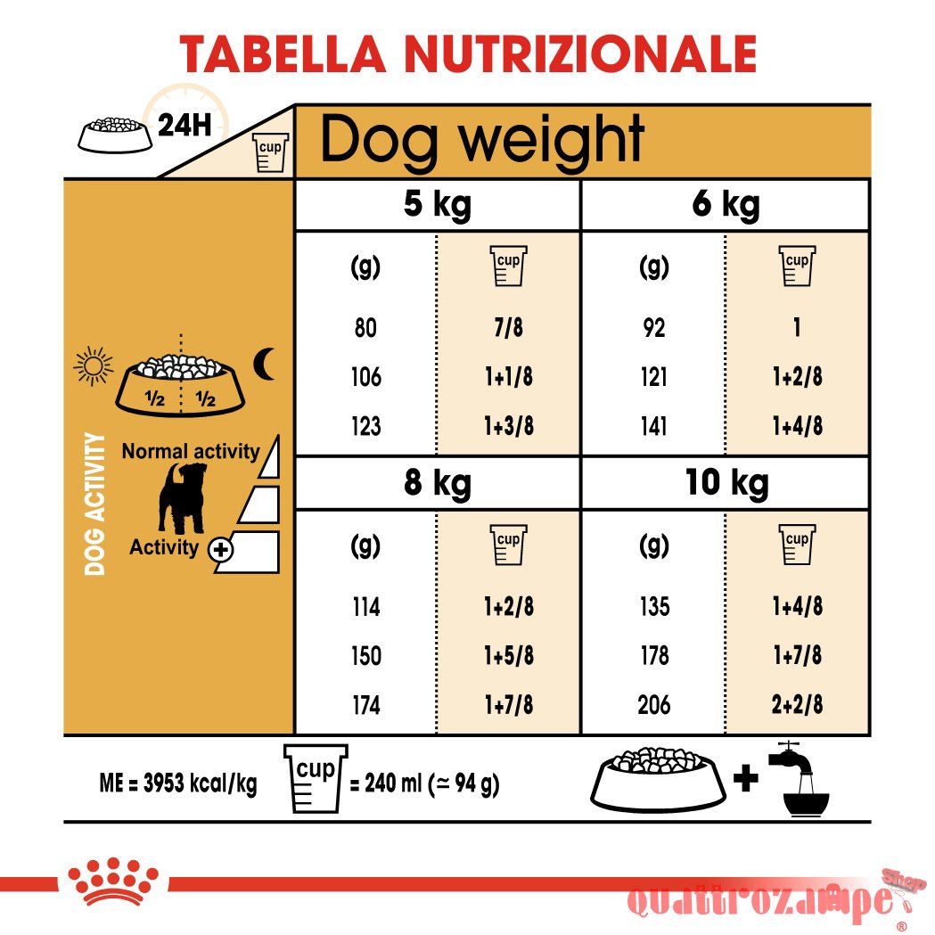 Royal Canin Jack Russell Terrier Adult 1,5 kg Crocchette per cani