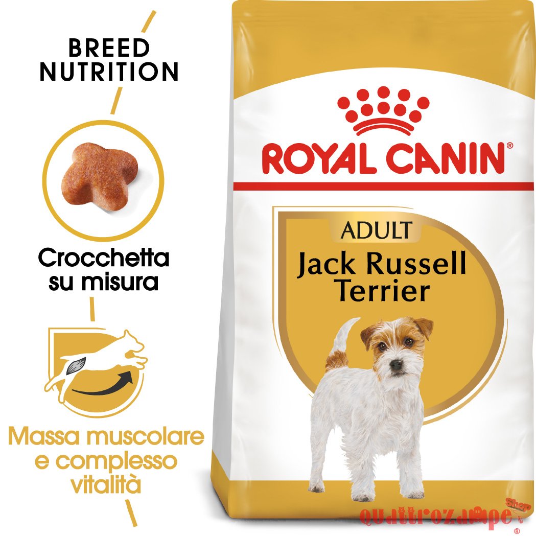 Royal Canin Jack Russell Terrier Adult 1,5 kg Crocchette per cani