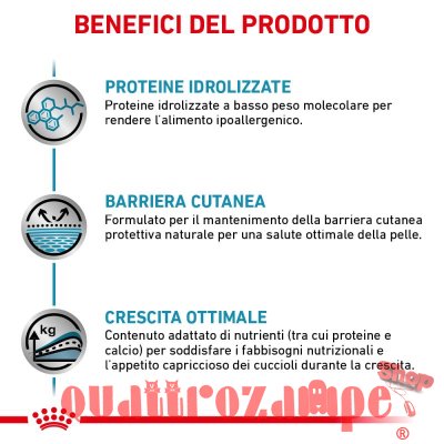 Royal Canin Hypoallergenic Puppy Veterinary Crocchette per cani