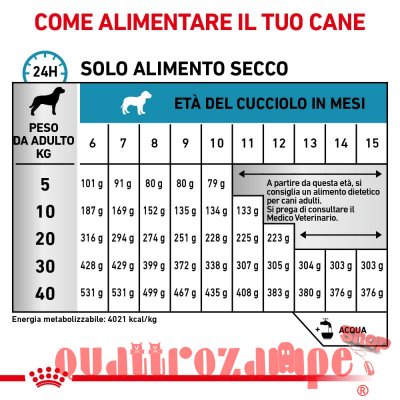 Royal Canin Hypoallergenic Puppy Veterinary Crocchette per cani