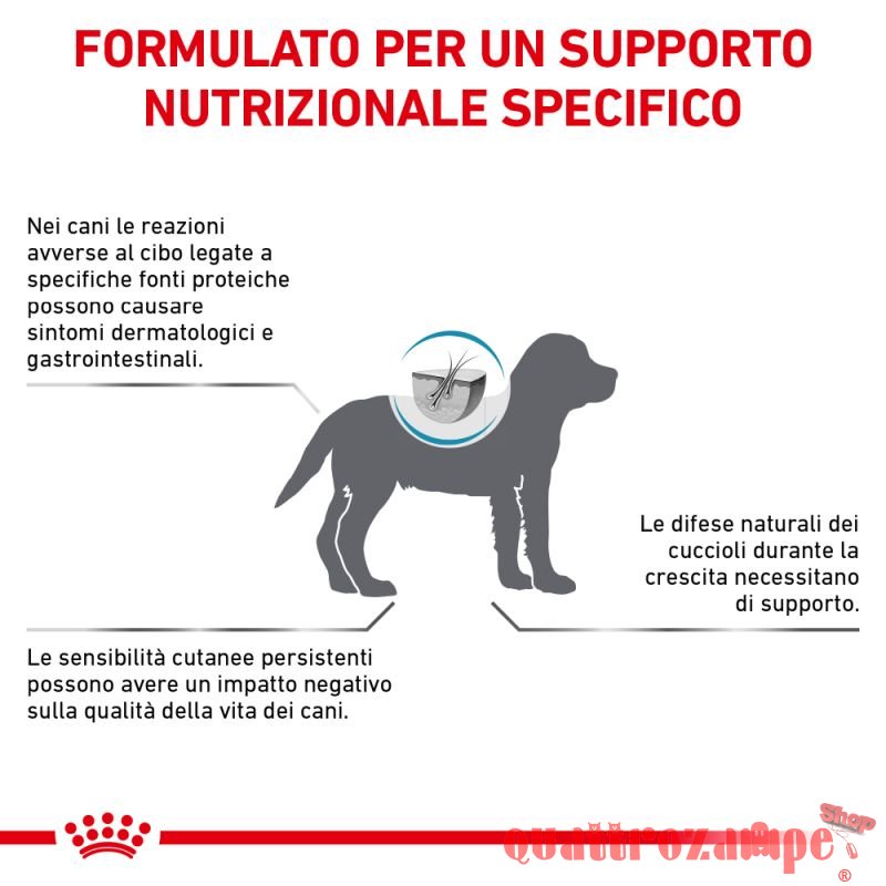 Royal Canin Hypoallergenic Puppy Veterinary Crocchette per cani