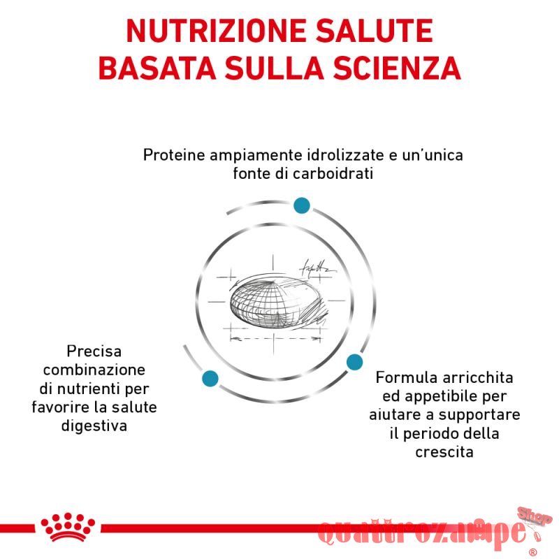 Royal Canin Hypoallergenic Puppy Veterinary Crocchette per cani