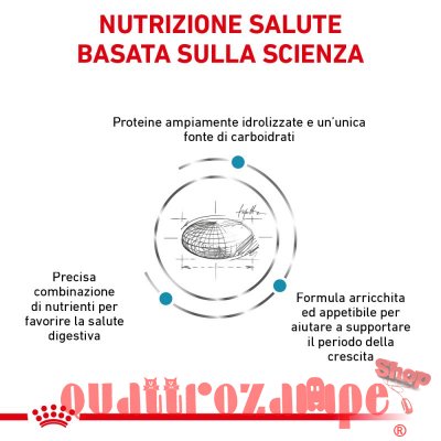 Royal Canin Hypoallergenic Puppy Veterinary Crocchette per cani