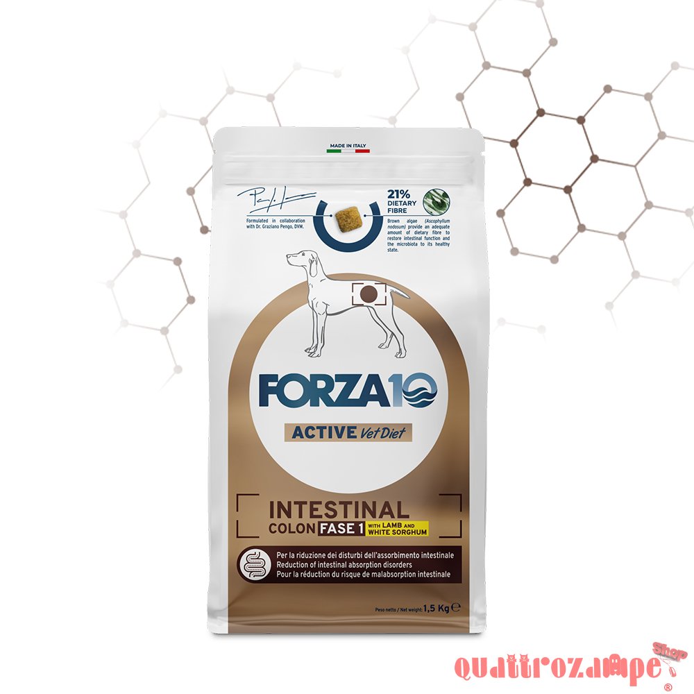 Forza 10 Intestinal Colon Fase 1 Agnello Sorgo Per Cani