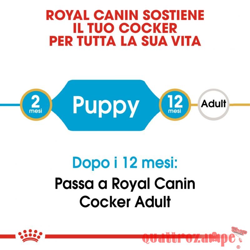 Royal Canin Cocker Puppy 3 kg Crocchette Cani