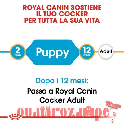 Royal Canin Cocker Puppy 3 kg Crocchette Cani
