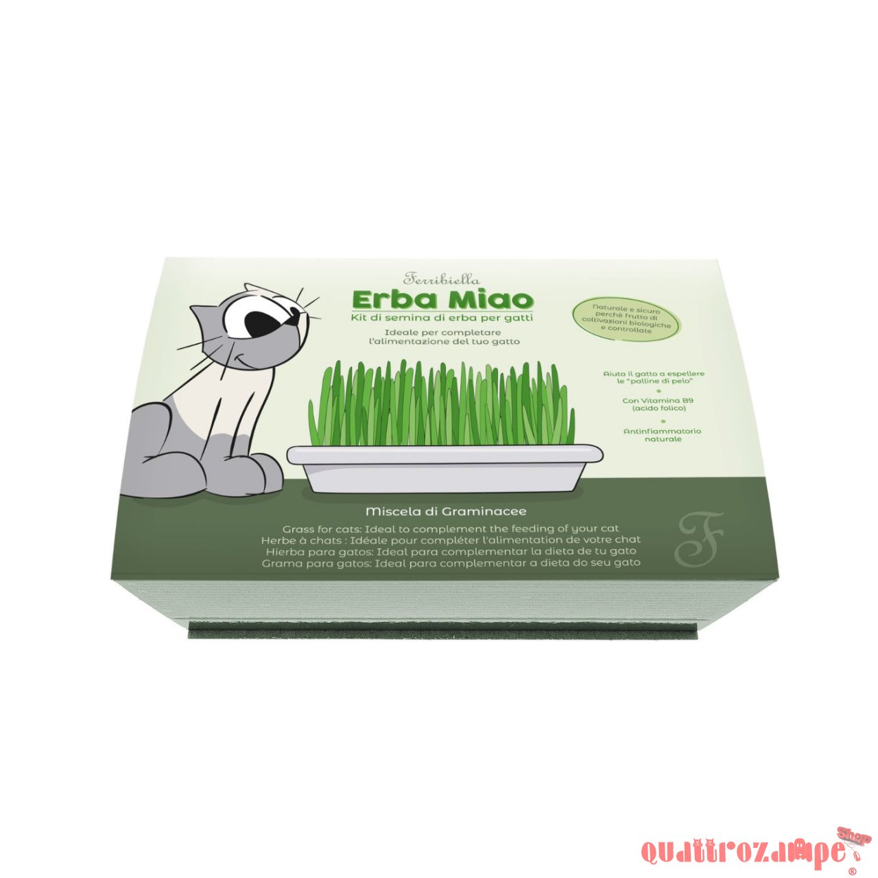 Ferribiella Erba Miao Erba Gatta Kit
