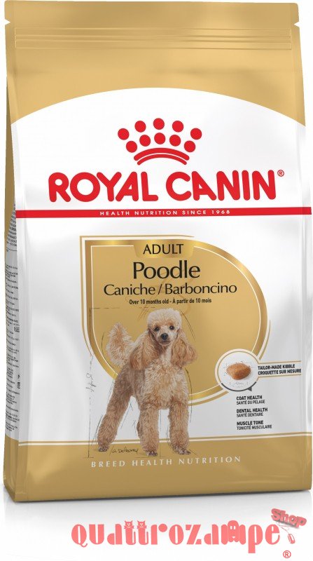 Royal Canin Poodle Adult Barboncino