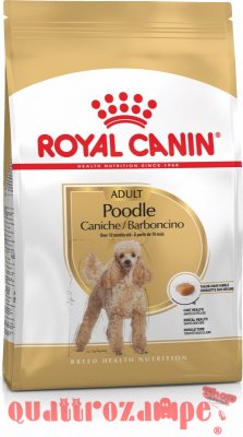 Royal Canin Poodle Adult Barboncino