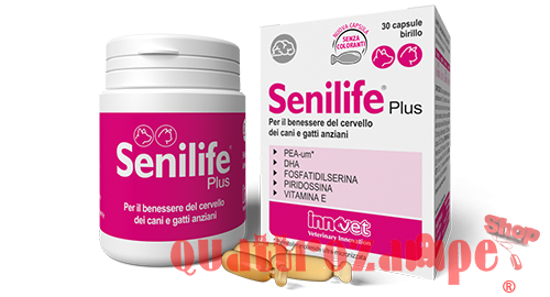 Innovet Senilife Plus Per il Benessere Del Cervello Dei Cani e Gatti Anziani