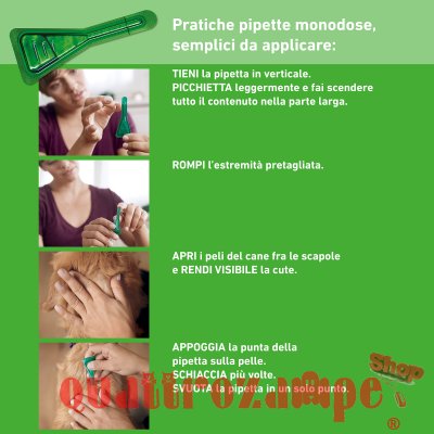 Frontline Combo Per Cani G da 20 a 40 kg 3 Pipette