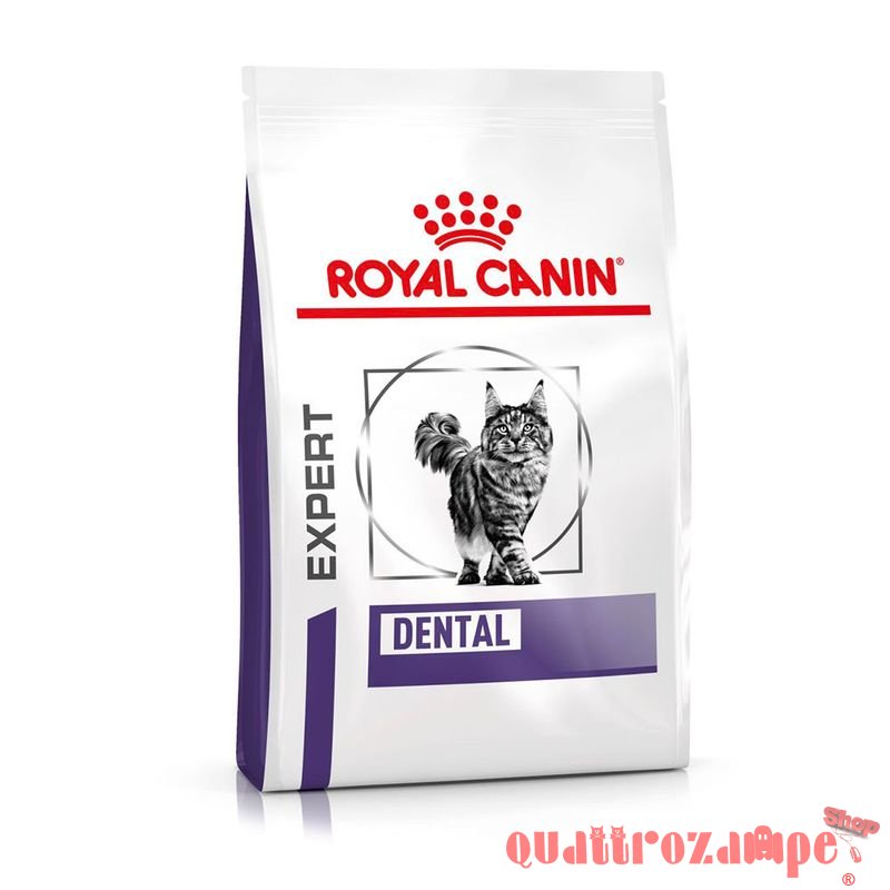 Royal Canin Expert Dental Cat 1,5 kg Crocchette per gatto