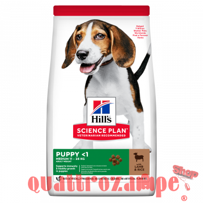 Hill's Science Plan Cane Puppy Medium Breed Agnello e Riso 14 kg