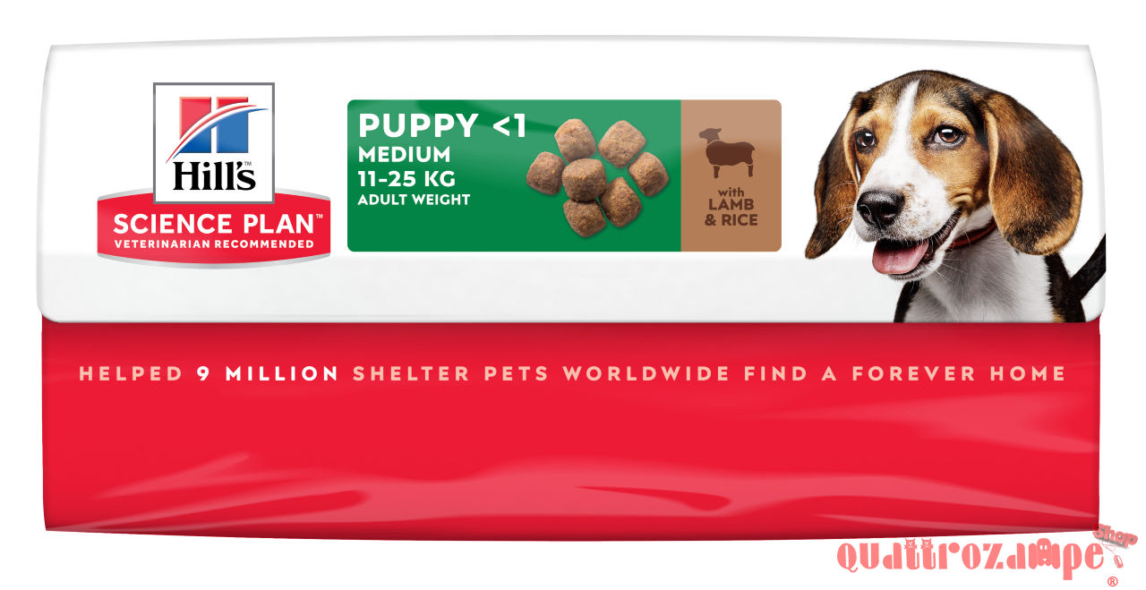 Hill's Science Plan Cane Puppy Medium Breed Agnello e Riso 14 kg