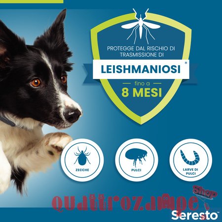 Collare Seresto Per Cani Fino A 8 kg Antiparassitario