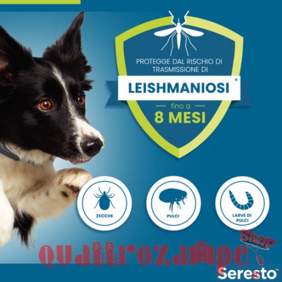 Collare Seresto Per Cani Fino A 8 kg Antiparassitario